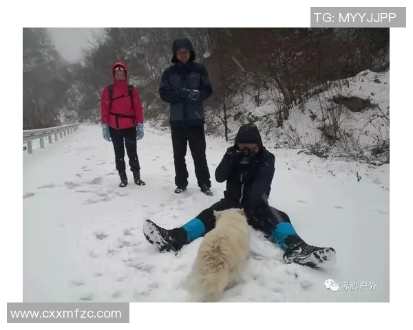 北京极限运动队的管理与发展探讨：热点现象与未来趋势分析