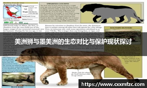 美洲狮与墨美洲的生态对比与保护现状探讨