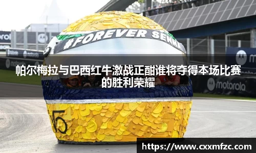 帕尔梅拉与巴西红牛激战正酣谁将夺得本场比赛的胜利荣耀
